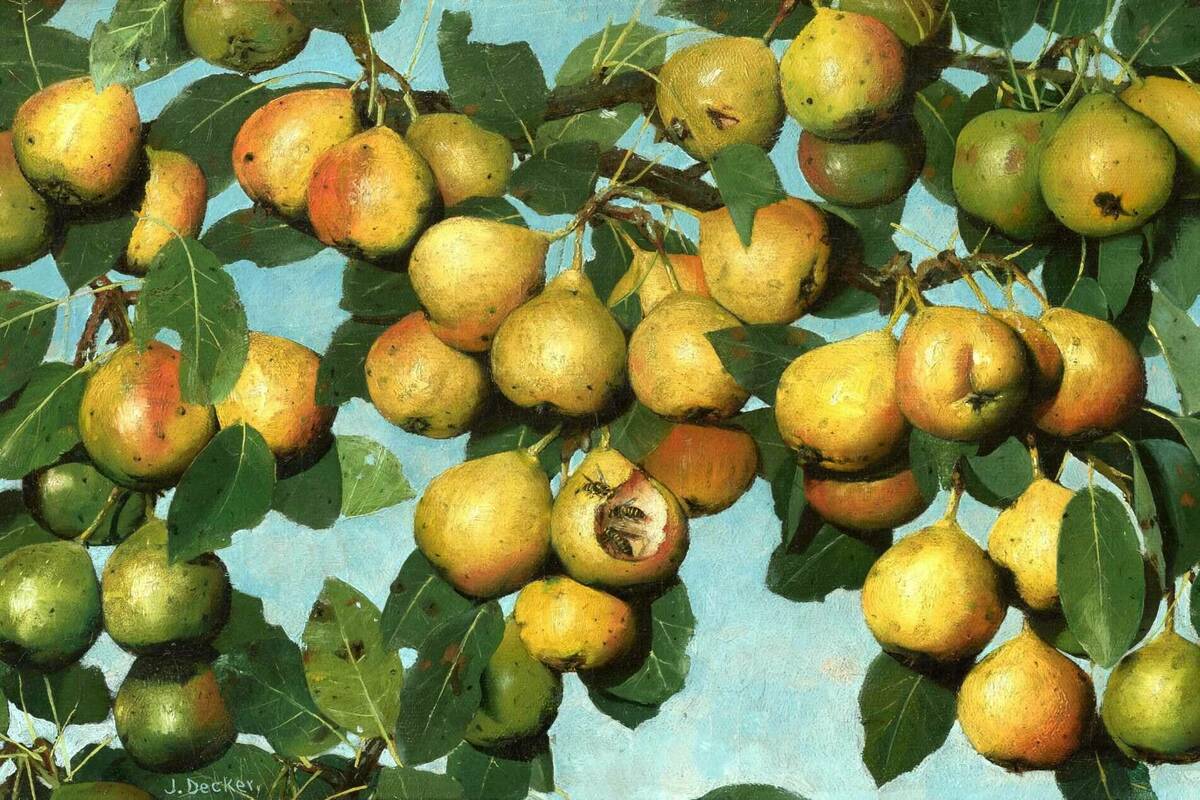 Joseph Decker, Ripening Pears