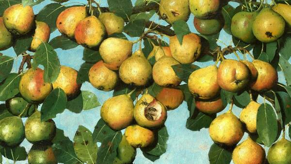 Joseph Decker, Ripening Pears