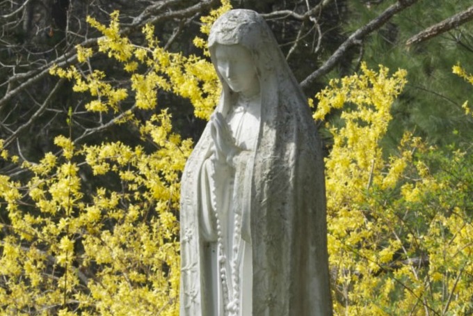 Blessed Mary Garden