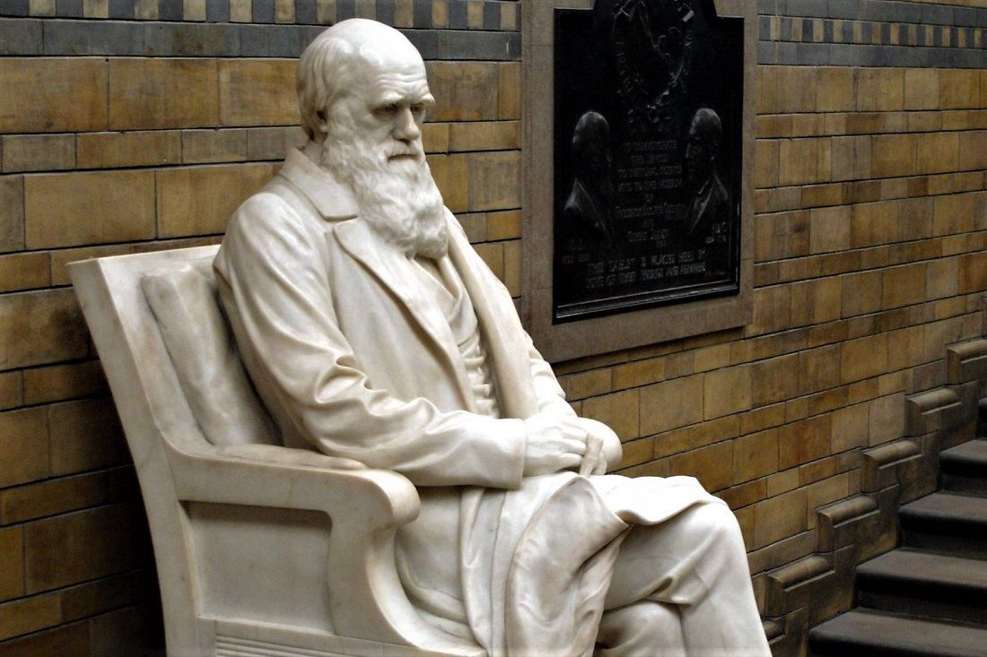 Darwin Statue