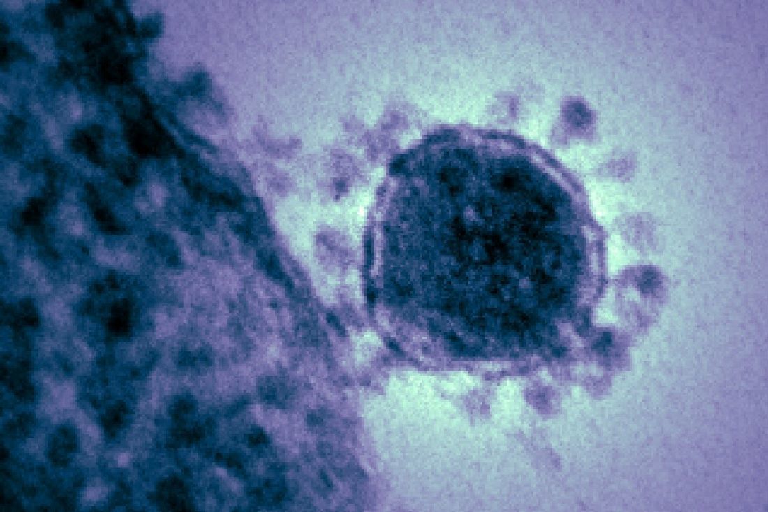 1100 Middle East Respiratory Syndrome Related Coronavirus