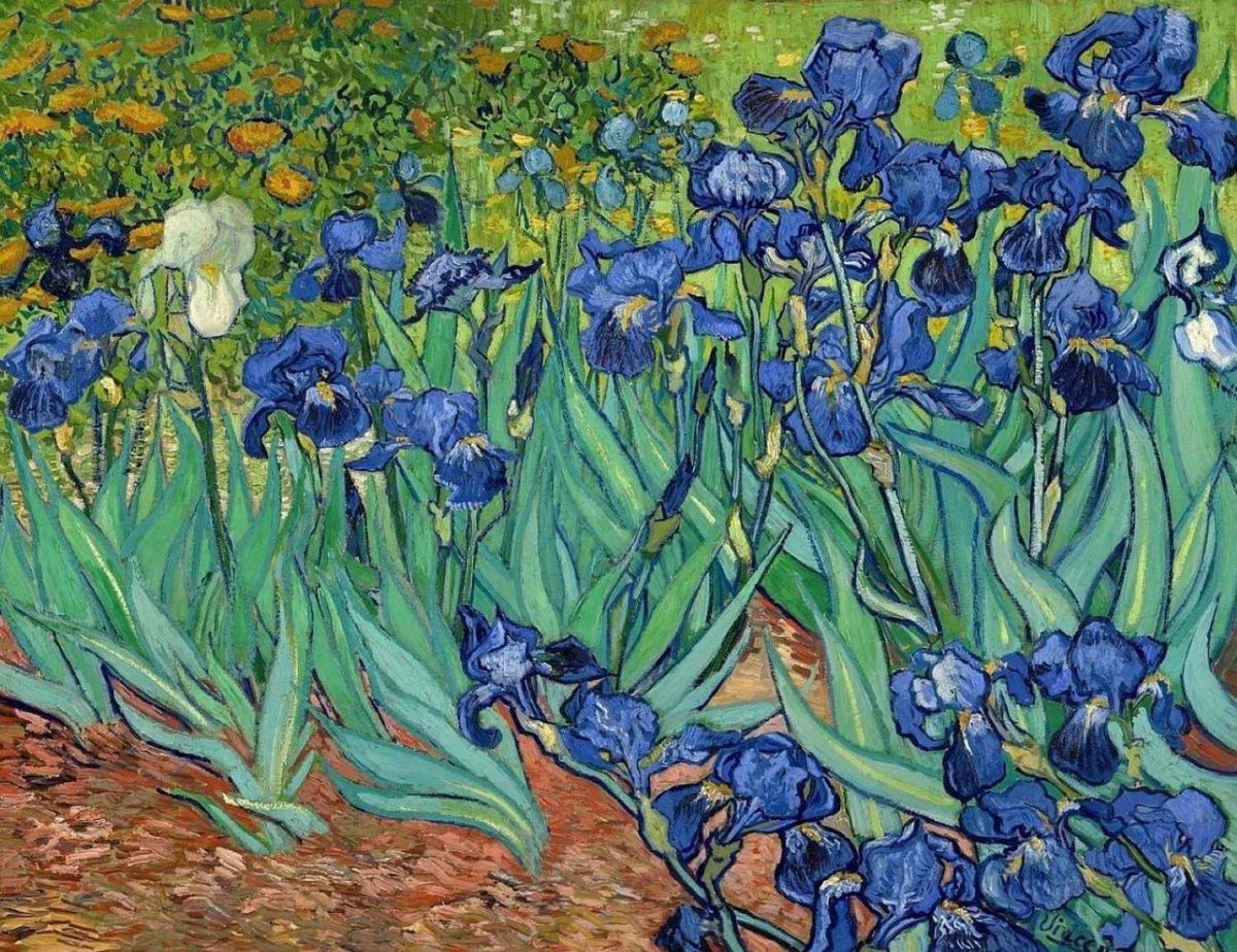 1500 Vincent Van Gogh Irises 1889