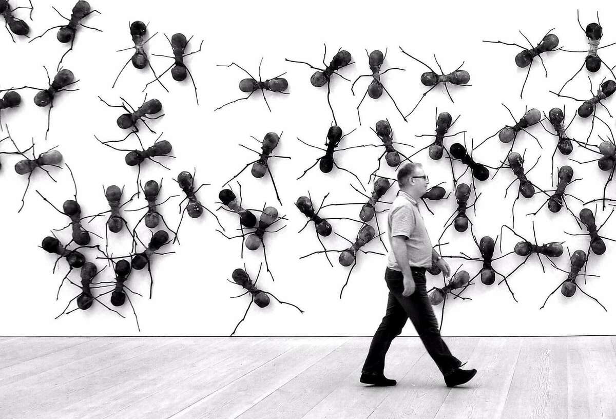 1700 Ants Saatchi