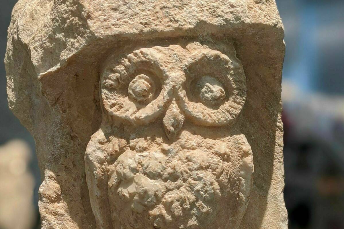 Owl of Minerva