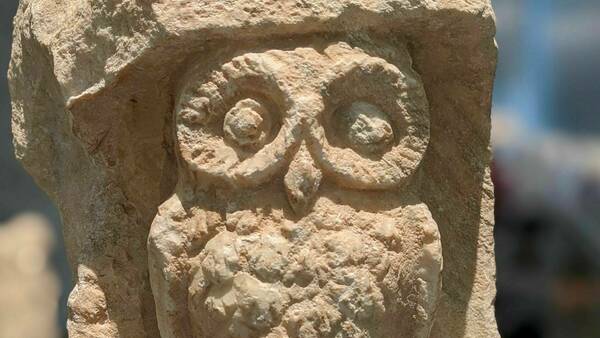 Owl of Minerva